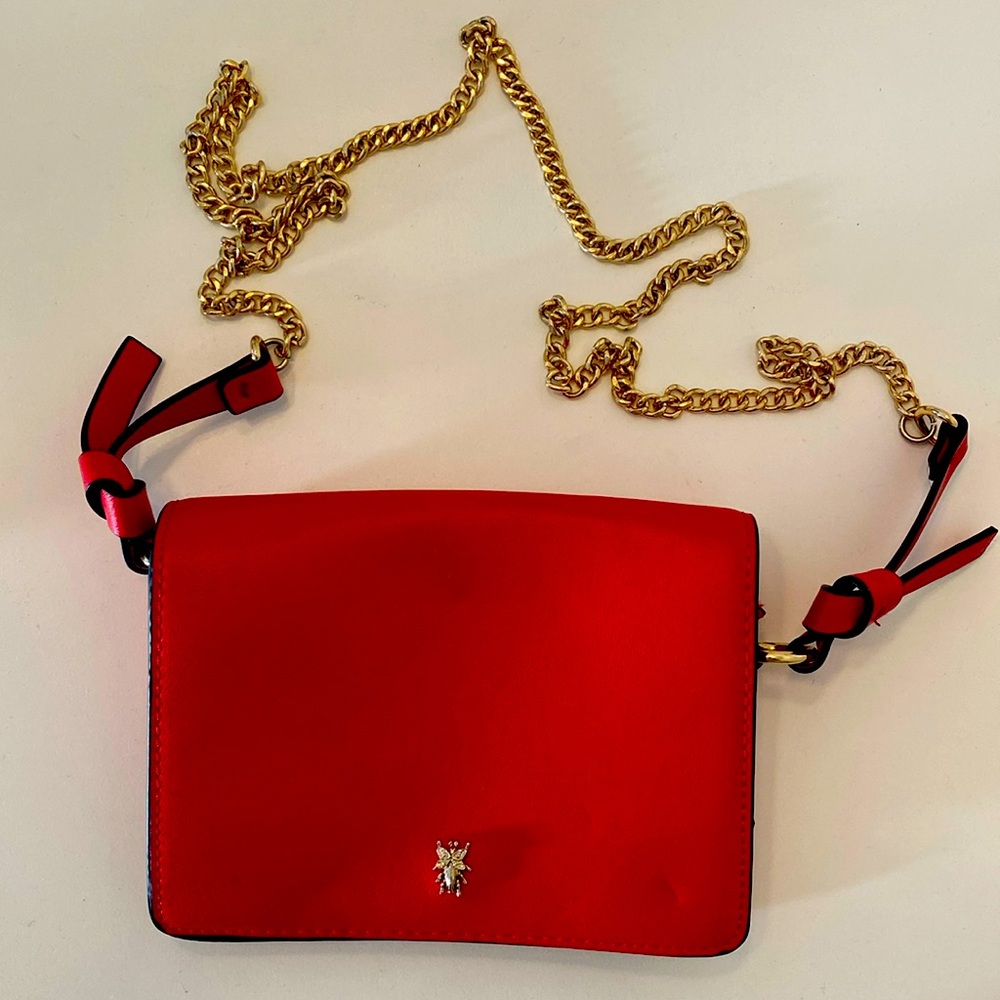 Chic crossbody red Zara bag with gold chain + gold bug detail.